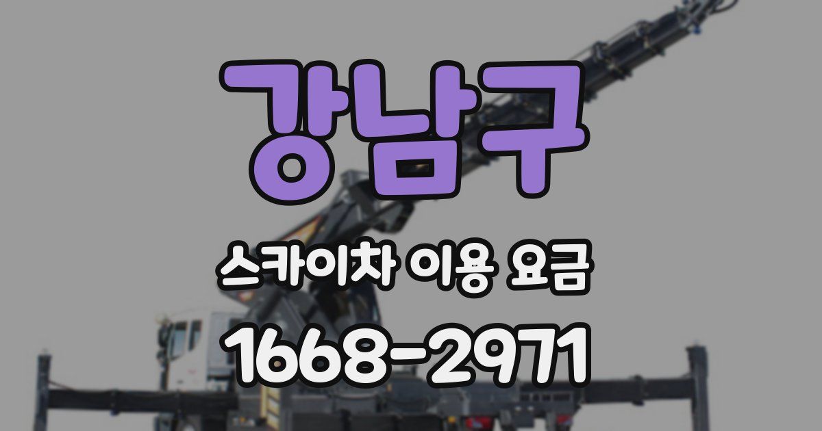 강남구 스카이차 이용 요금