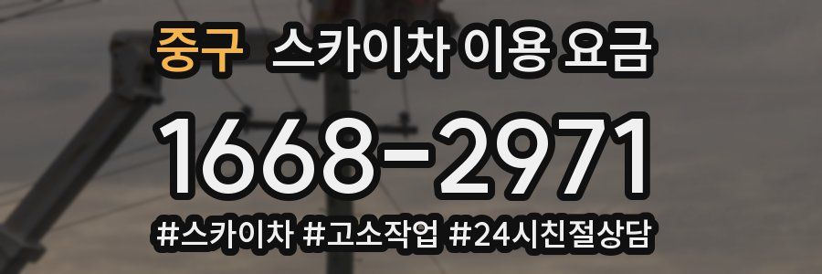 중구 스카이차 이용 요금