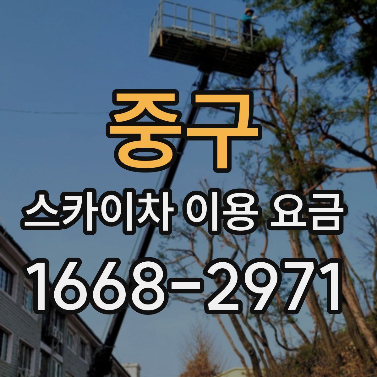 중구 스카이차 이용 요금