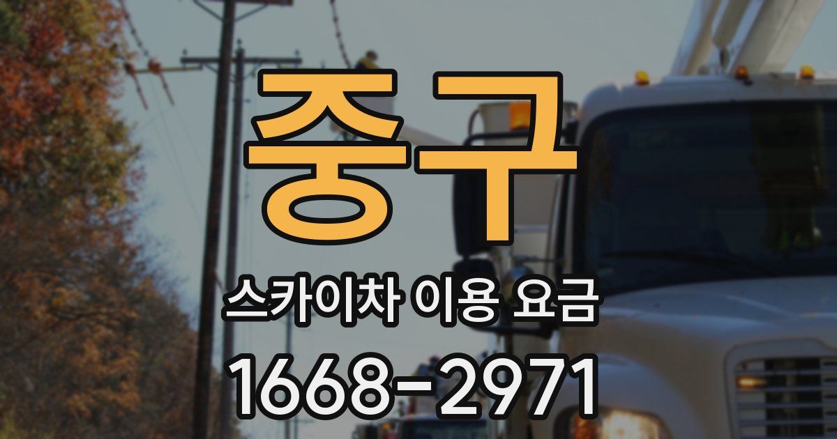 중구 스카이차 이용 요금