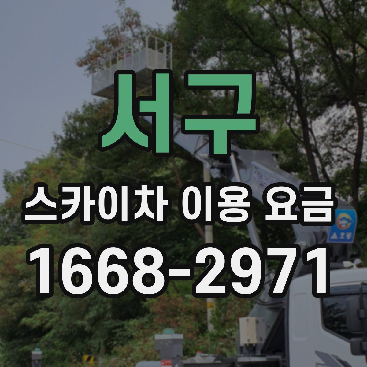 서구 스카이차 이용 요금