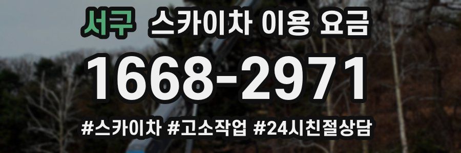 서구 스카이차 이용 요금
