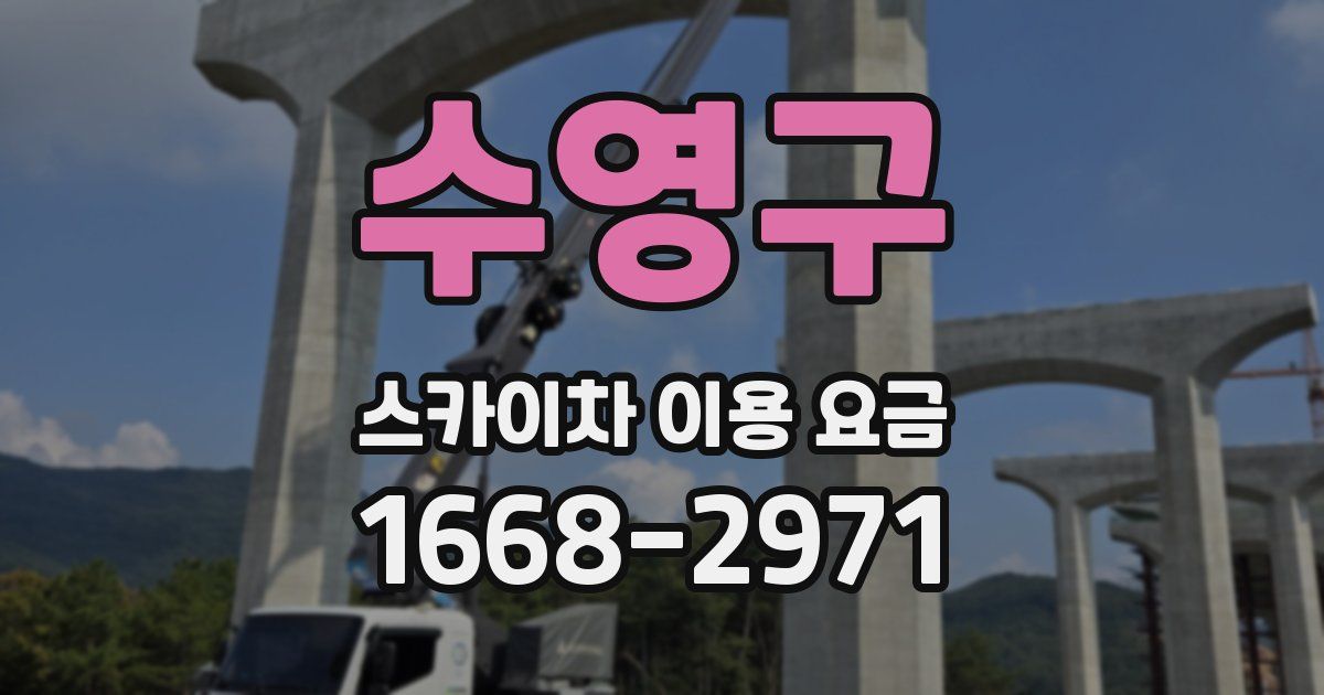 수영구 스카이차 이용 요금