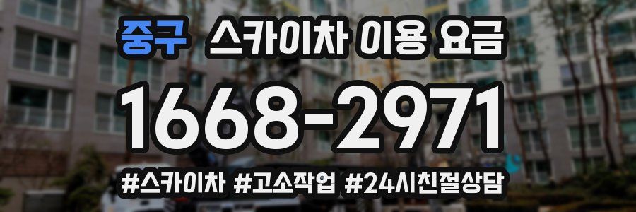 중구 스카이차 이용 요금