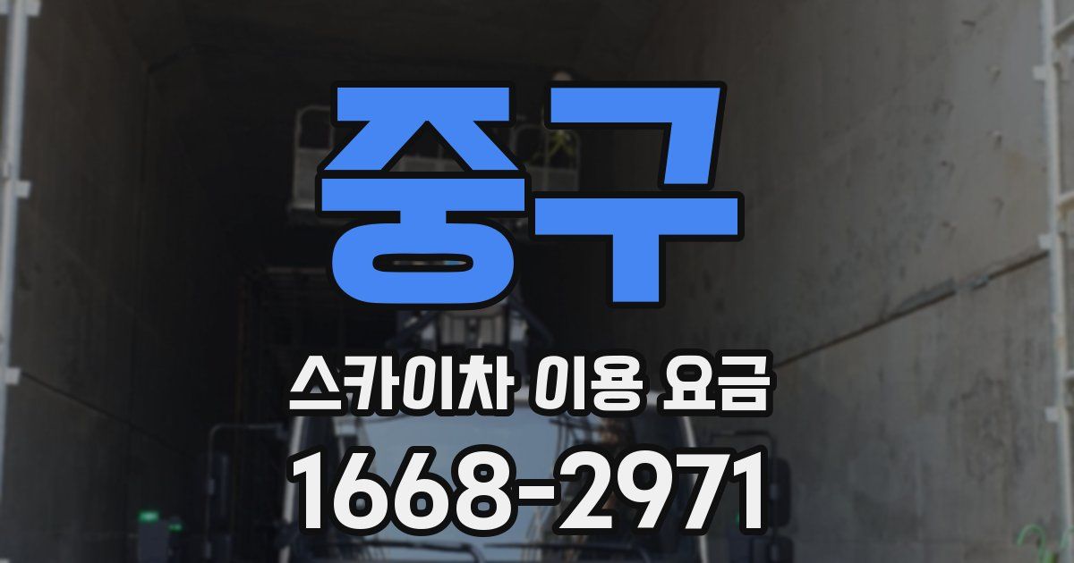 중구 스카이차 이용 요금