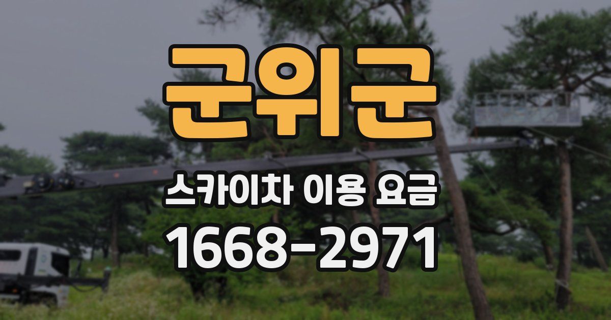 군위군 스카이차 이용 요금
