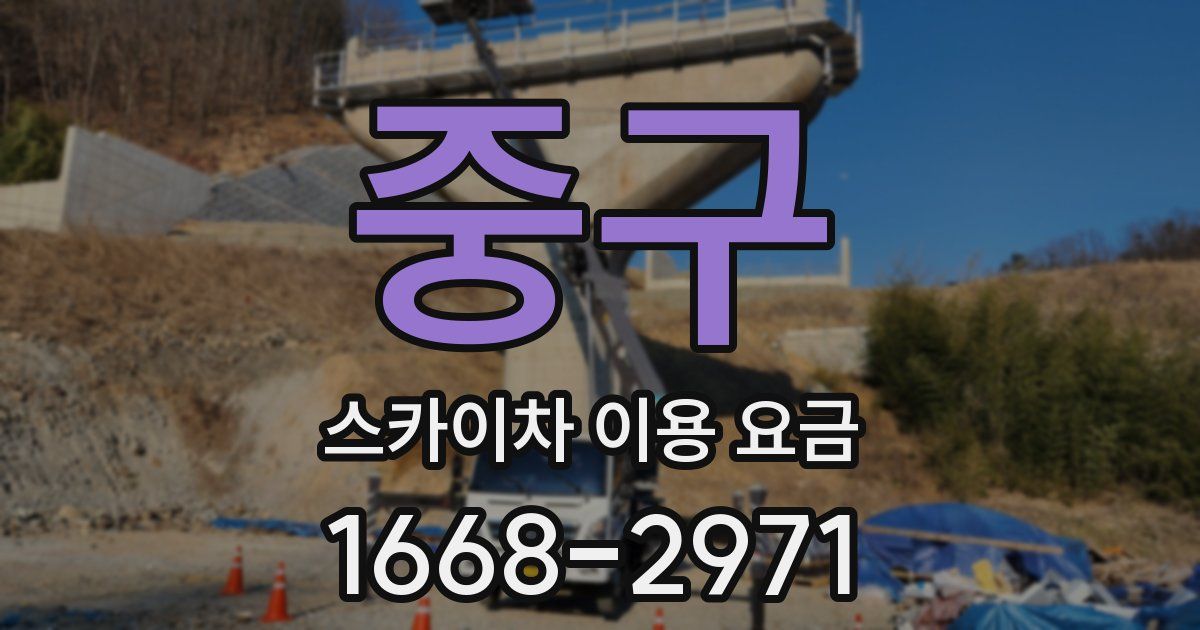 중구 스카이차 이용 요금