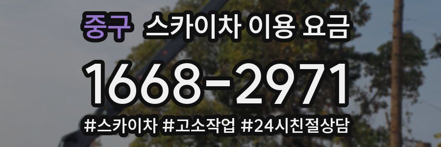 중구 스카이차 이용 요금