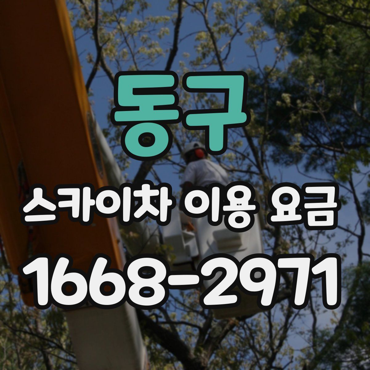 동구 스카이차 이용 요금