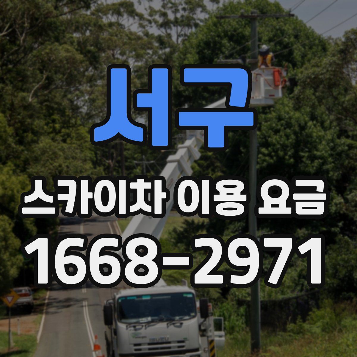 서구 스카이차 이용 요금