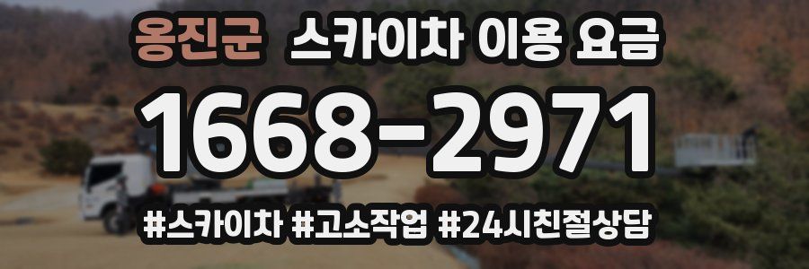 옹진군 스카이차 이용 요금