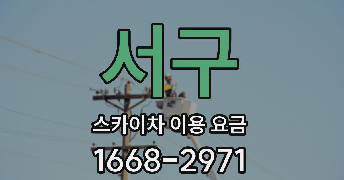 서구 스카이차 이용 요금