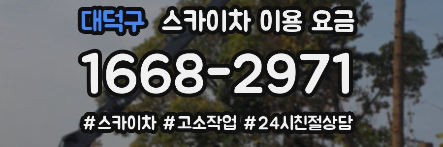 대덕구 스카이차 이용 요금