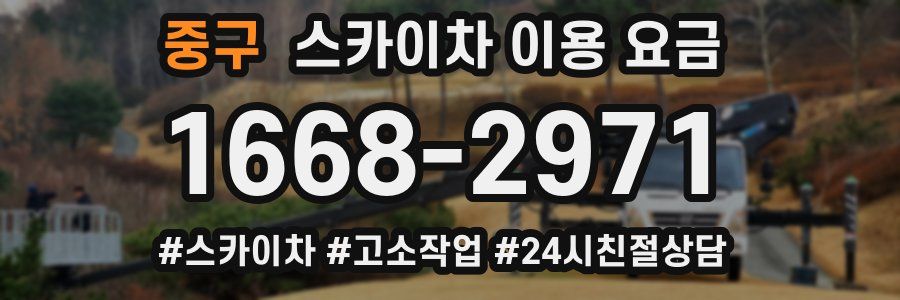 중구 스카이차 이용 요금