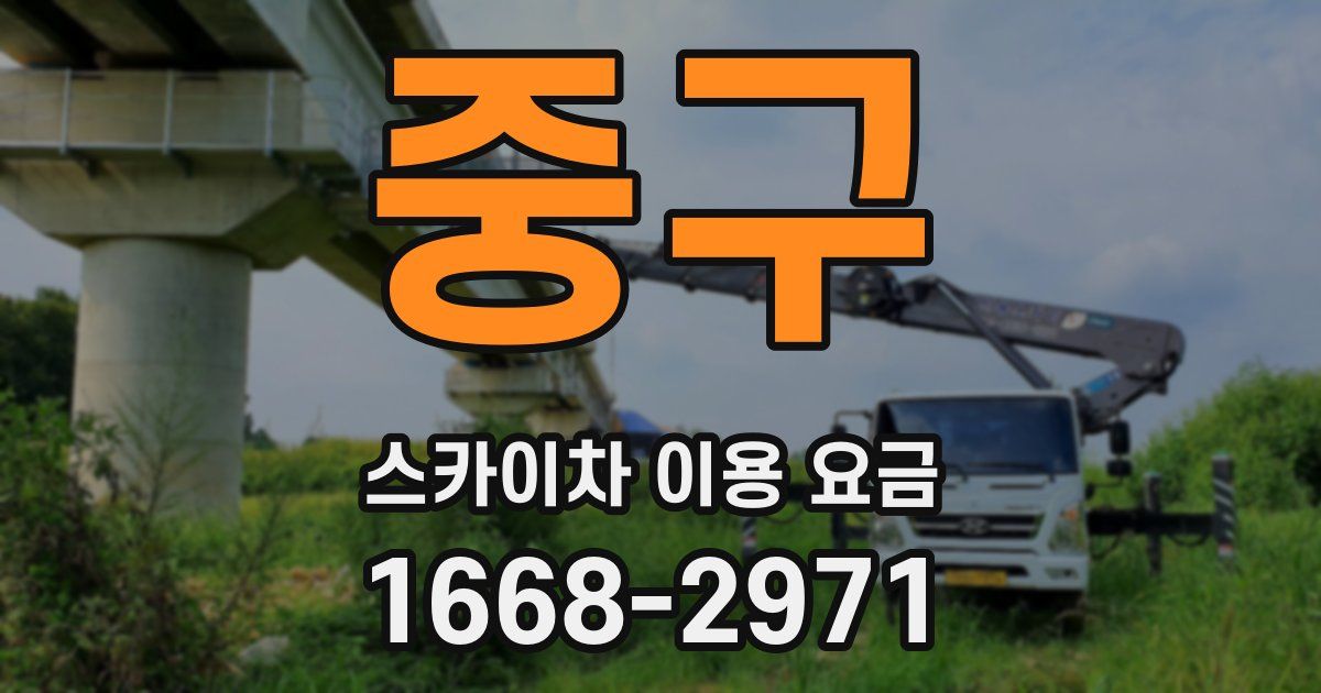 중구 스카이차 이용 요금