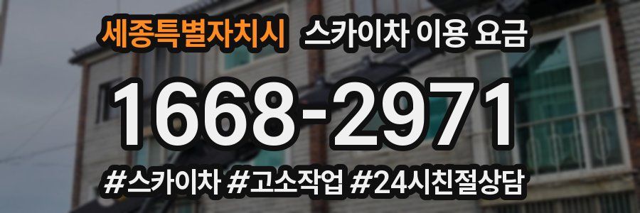 세종특별자치시 스카이차 이용 요금