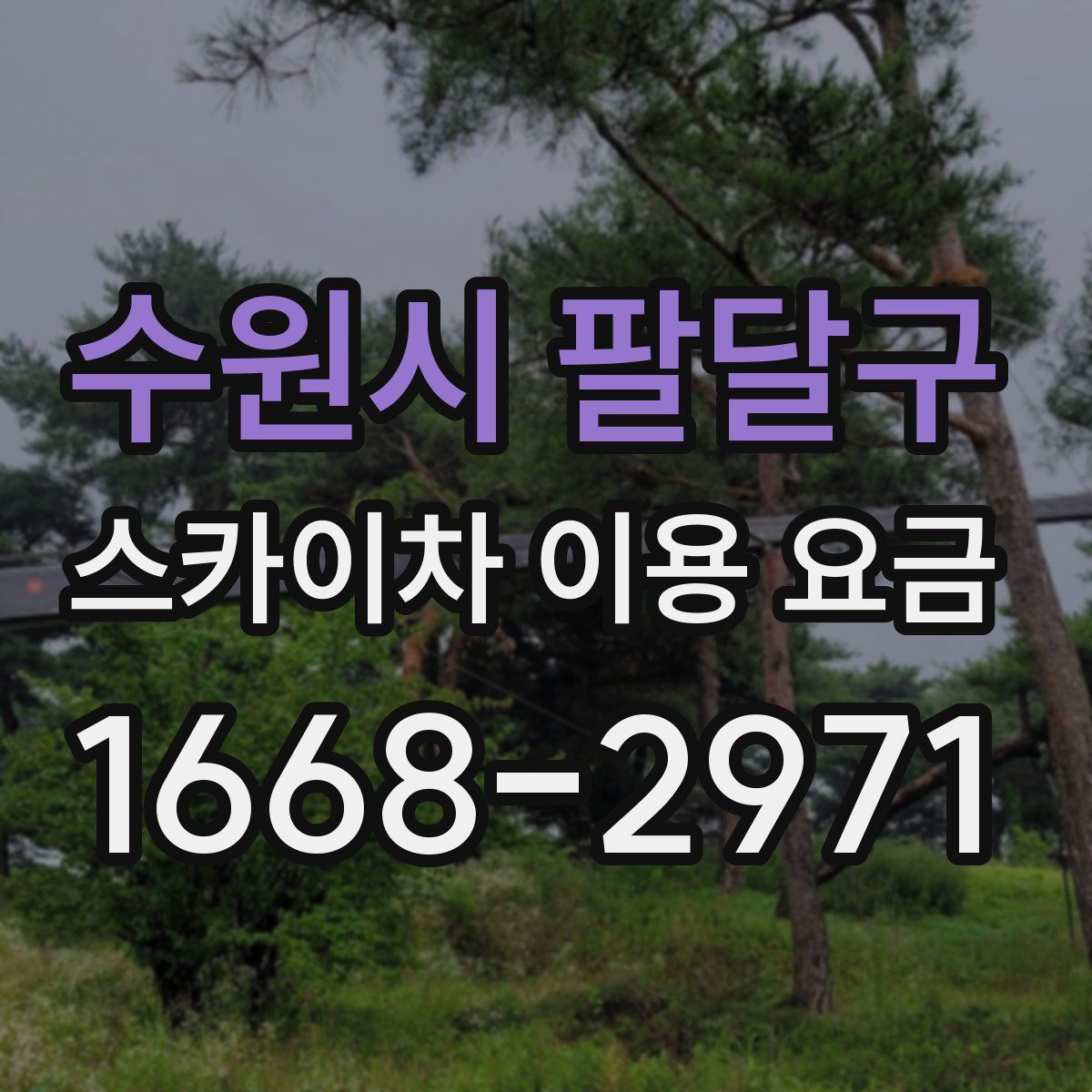 수원시 팔달구 스카이차 이용 요금
