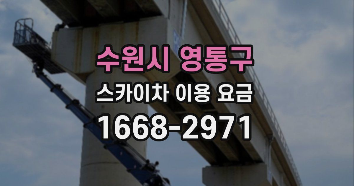 수원시 영통구 스카이차 이용 요금