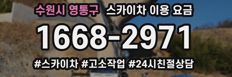 수원시 영통구 스카이차 이용 요금
