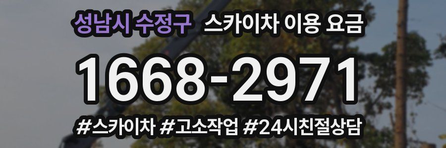 성남시 수정구 스카이차 이용 요금