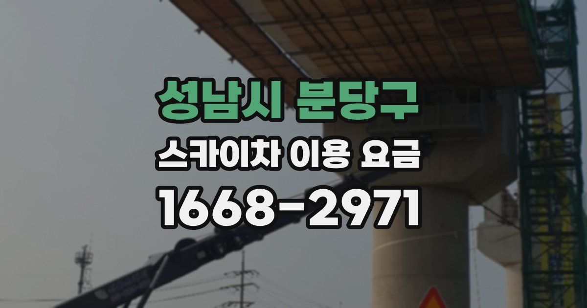 성남시 분당구 스카이차 이용 요금