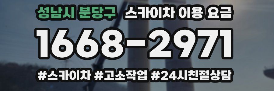 성남시 분당구 스카이차 이용 요금