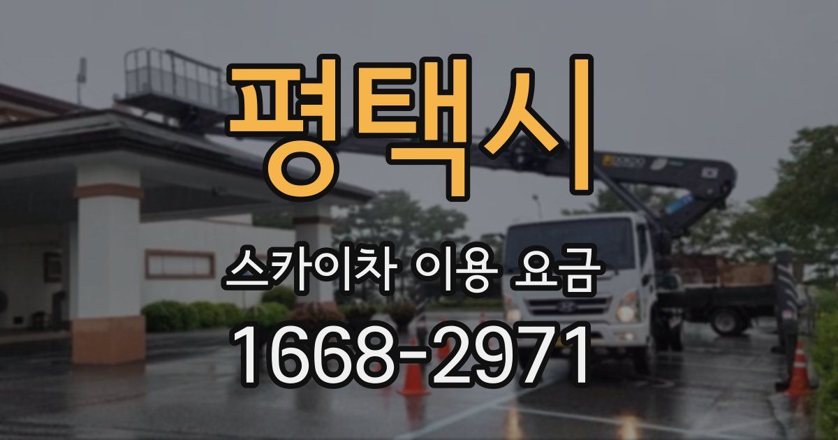 평택시 스카이차 이용 요금