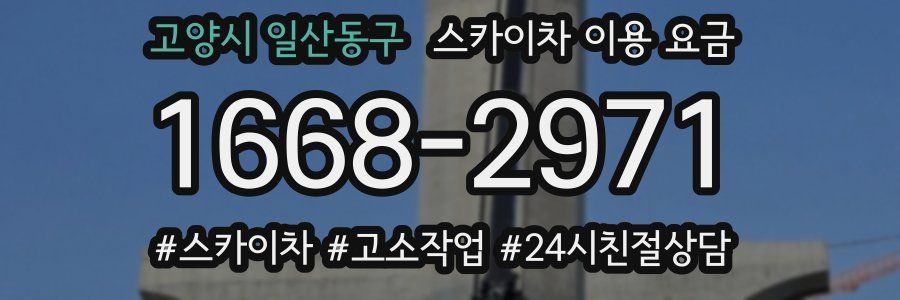 고양시 일산동구 스카이차 이용 요금