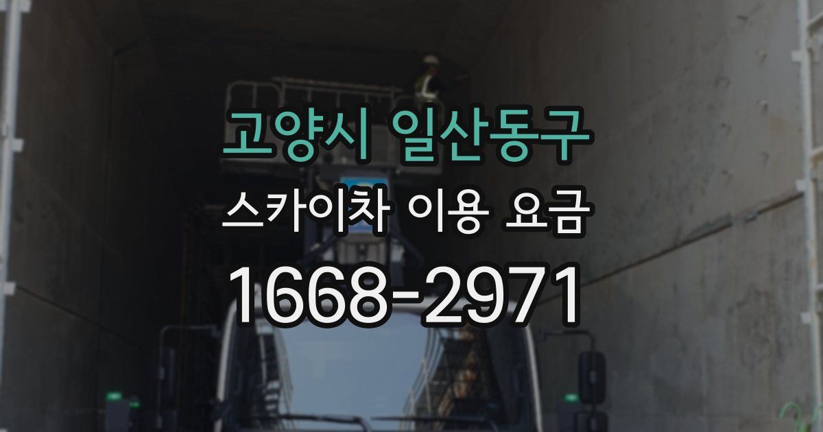 고양시 일산동구 스카이차 이용 요금