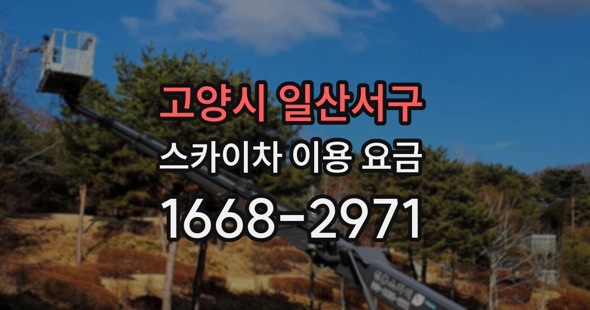 고양시 일산서구 스카이차 이용 요금