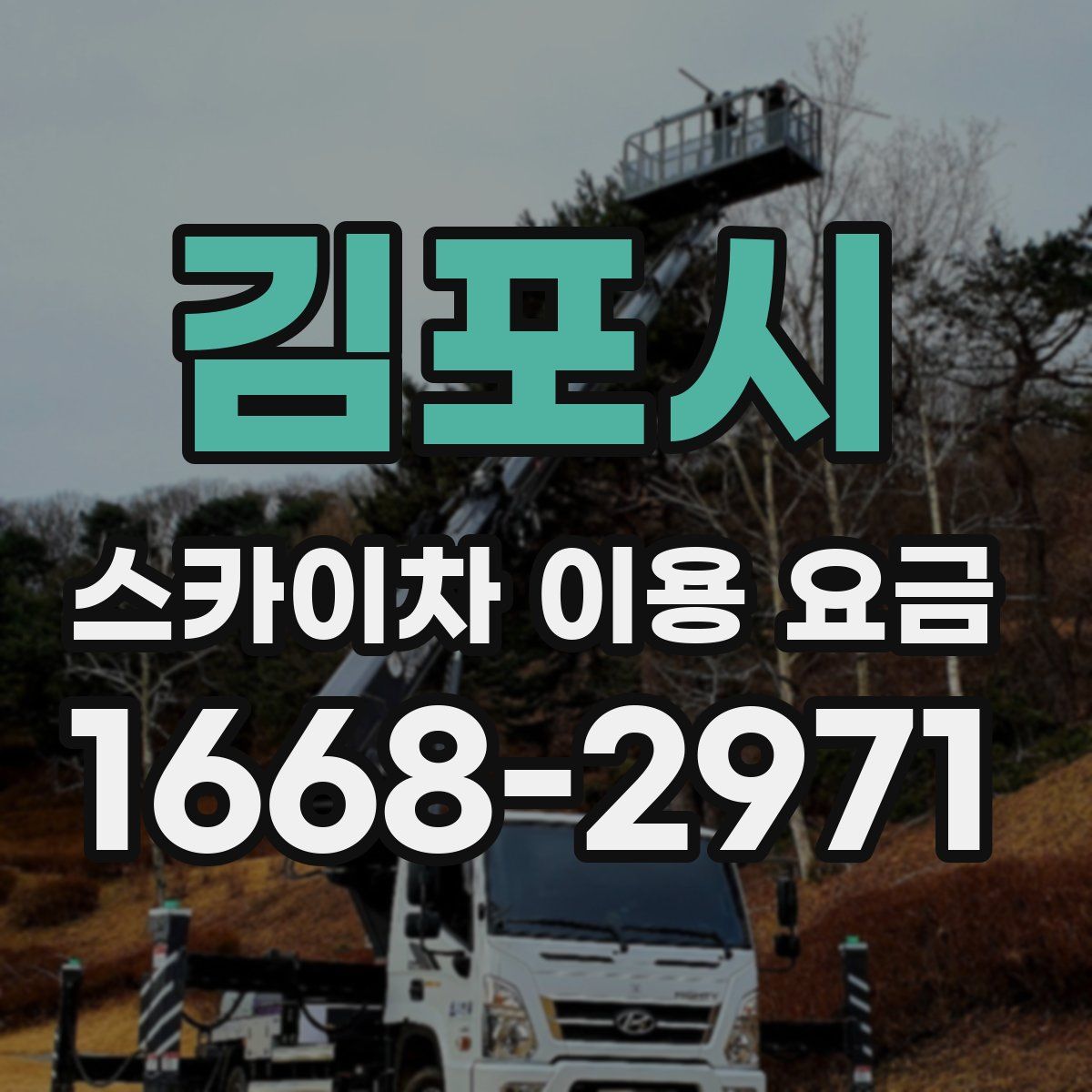 김포시 스카이차 이용 요금
