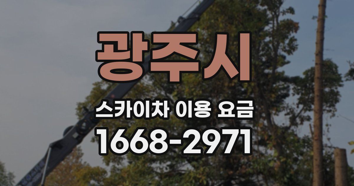 광주시 스카이차 이용 요금