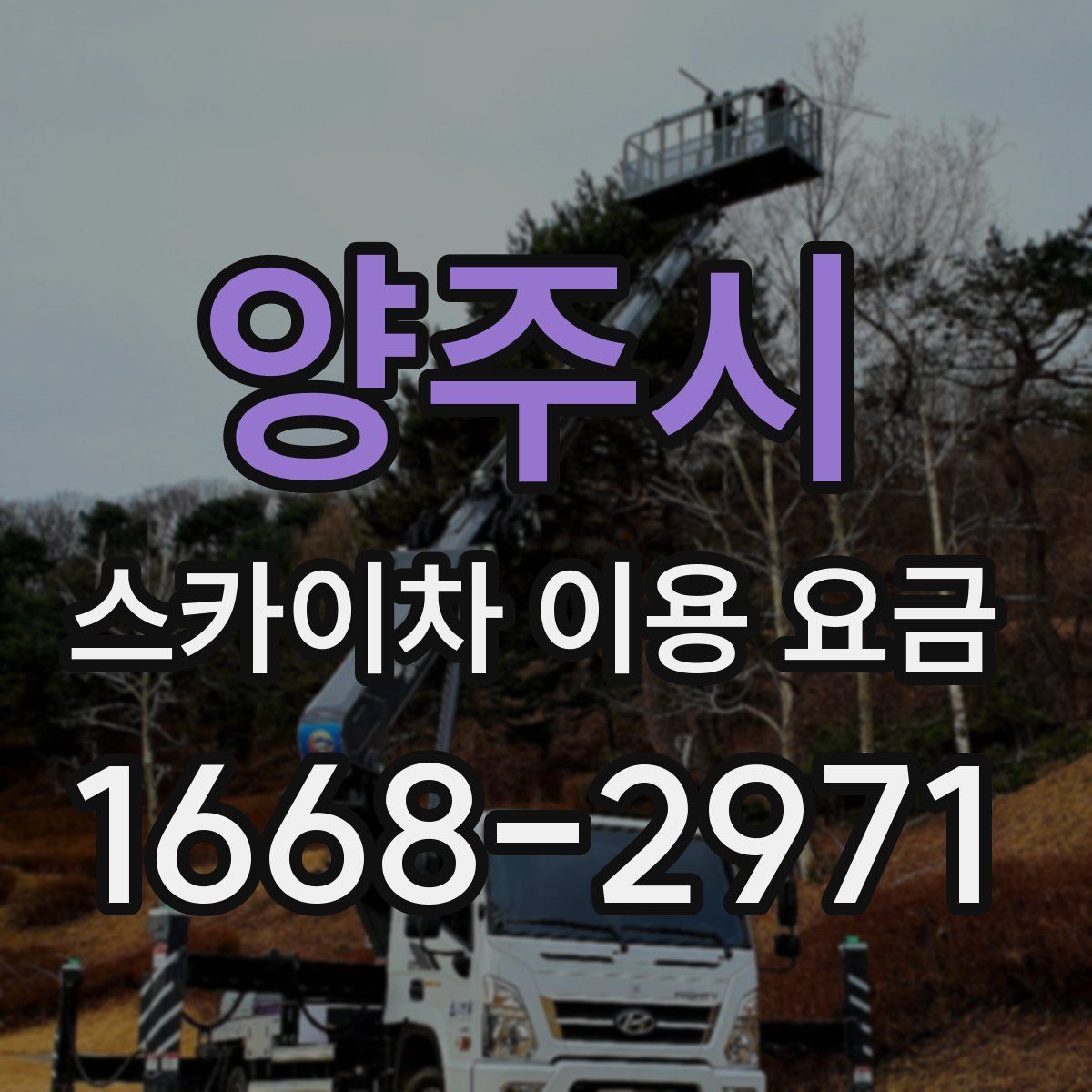 양주시 스카이차 이용 요금