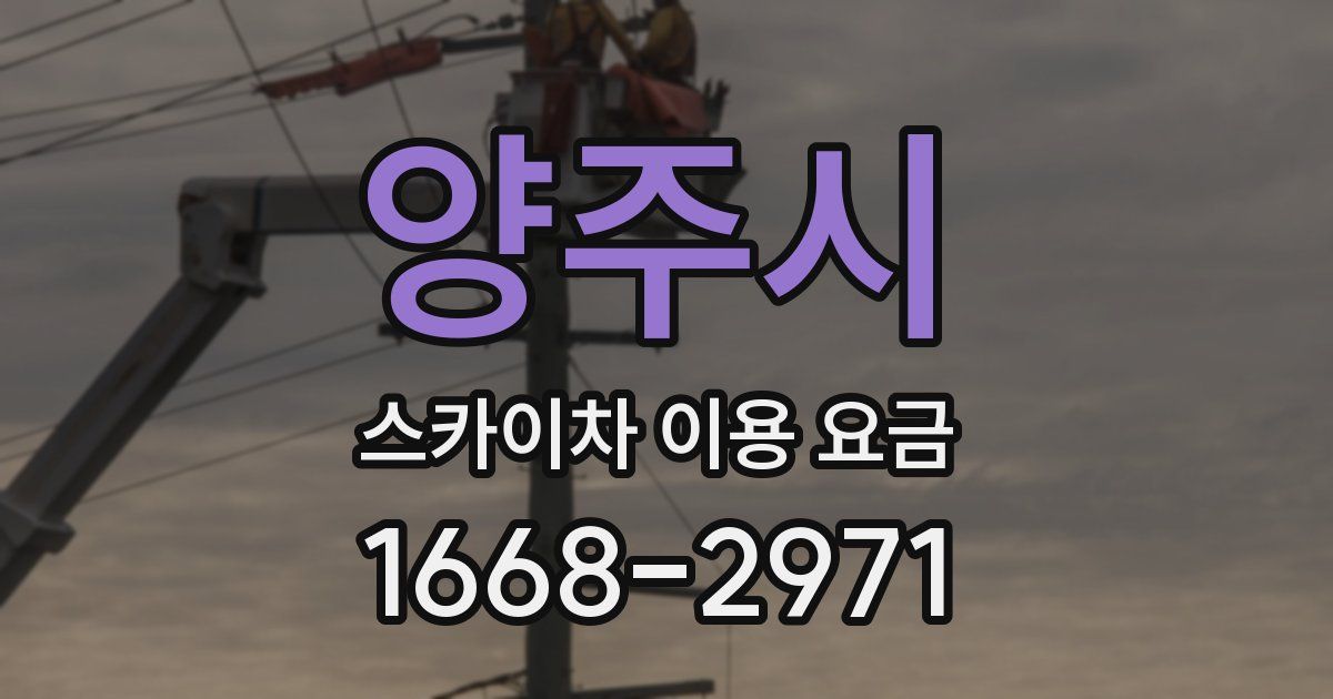 양주시 스카이차 이용 요금