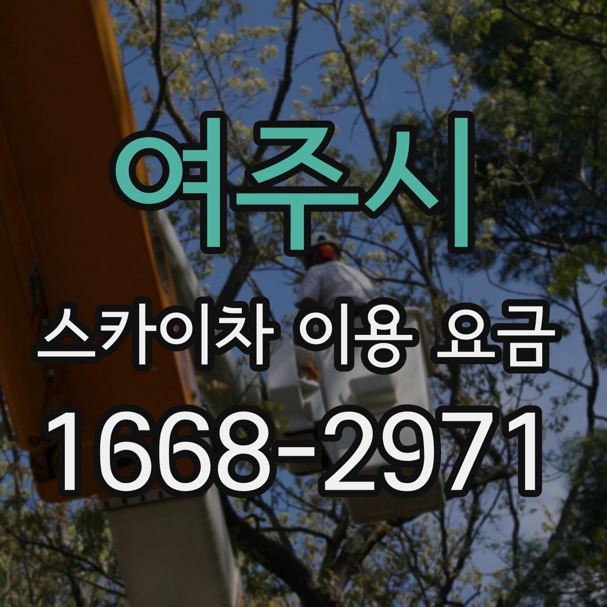 여주시 스카이차 이용 요금