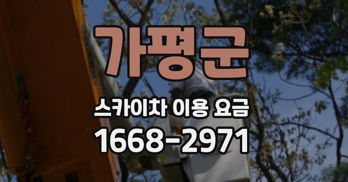 가평군 스카이차 이용 요금