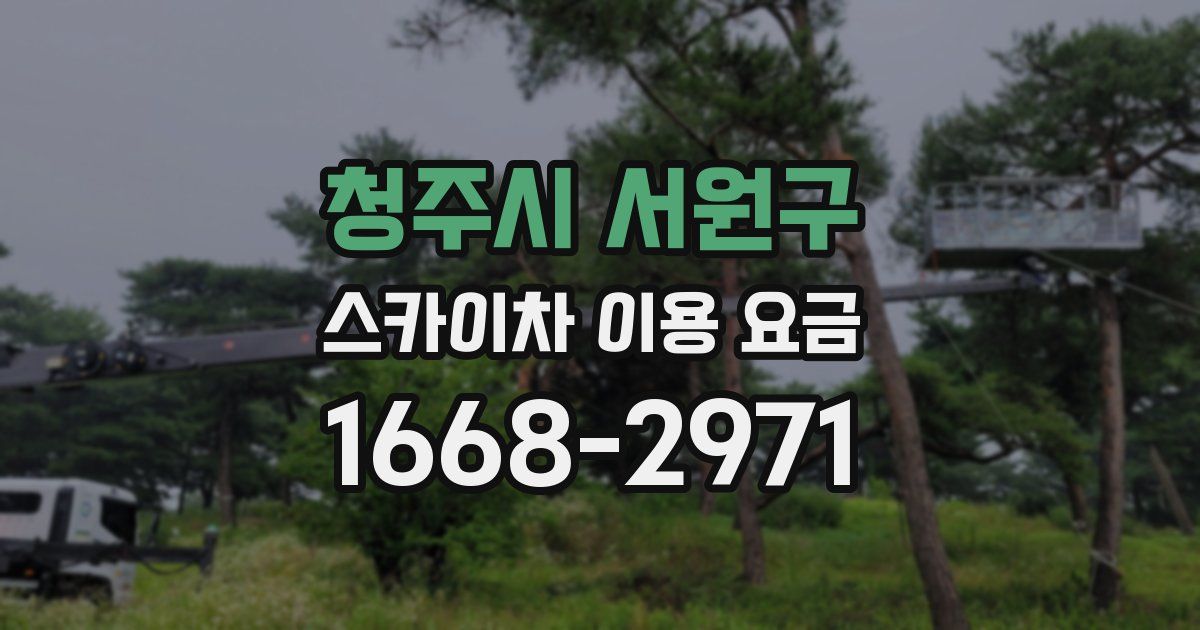 청주시 서원구 스카이차 이용 요금
