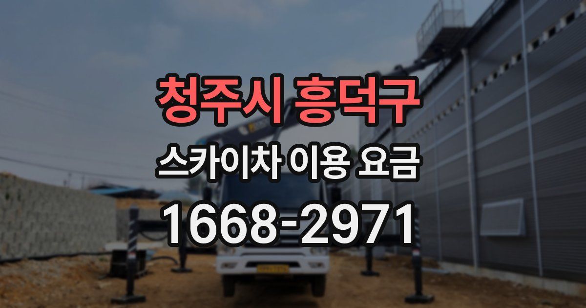 청주시 흥덕구 스카이차 이용 요금