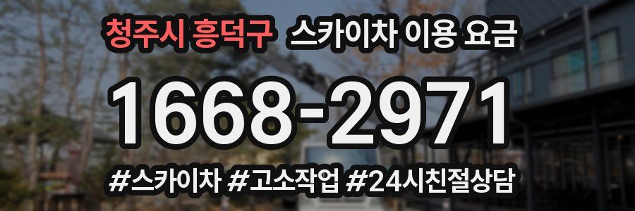 청주시 흥덕구 스카이차 이용 요금