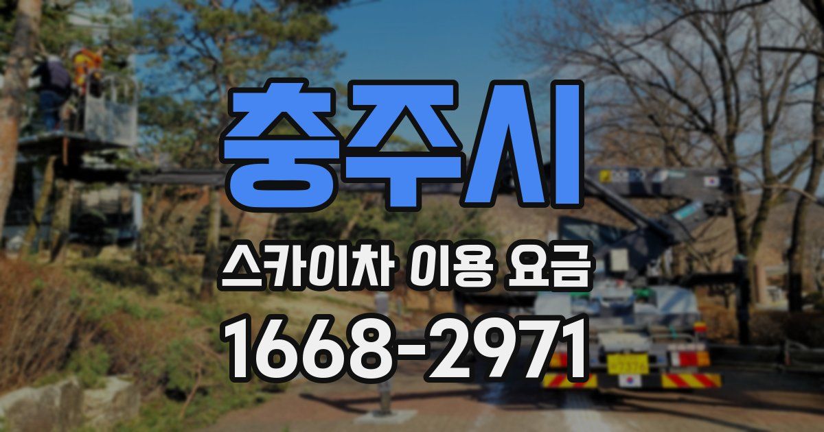 충주시 스카이차 이용 요금