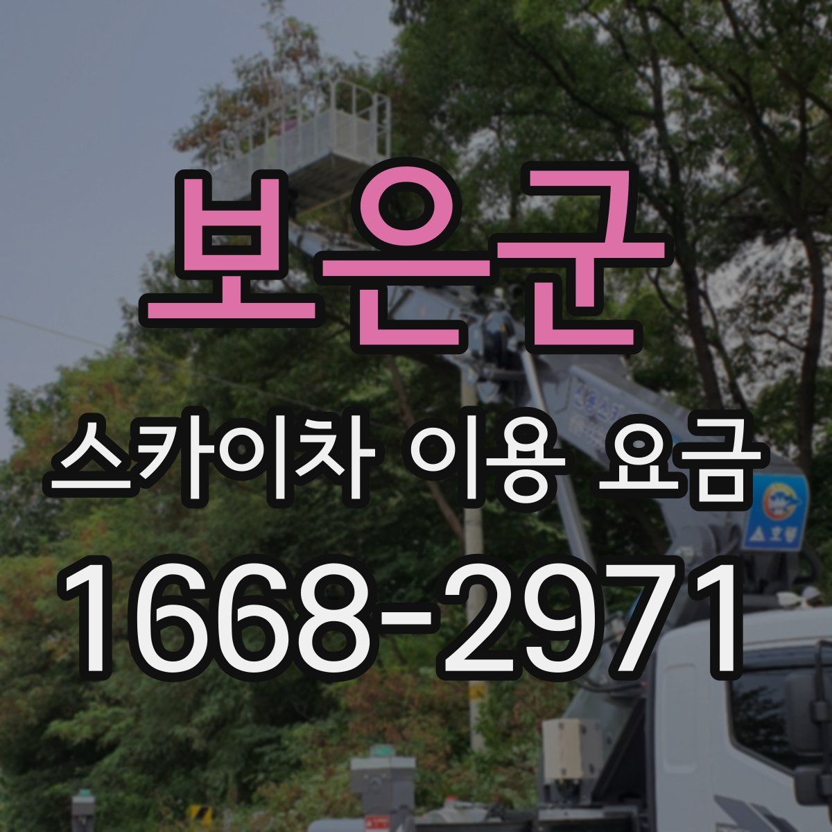 보은군 스카이차 이용 요금