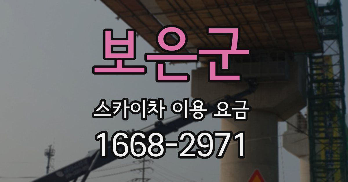 보은군 스카이차 이용 요금
