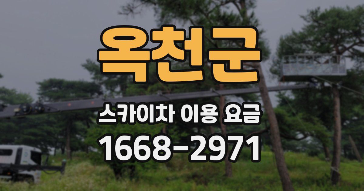옥천군 스카이차 이용 요금