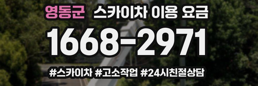 영동군 스카이차 이용 요금