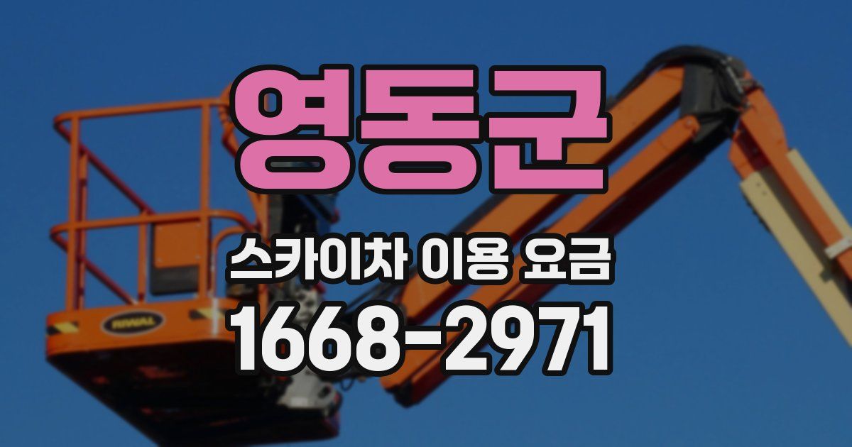 영동군 스카이차 이용 요금