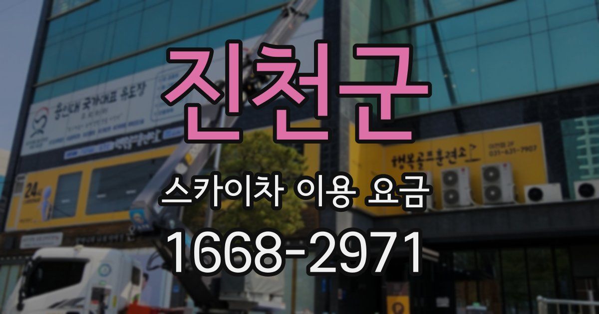 진천군 스카이차 이용 요금