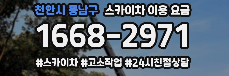 천안시 동남구 스카이차 이용 요금