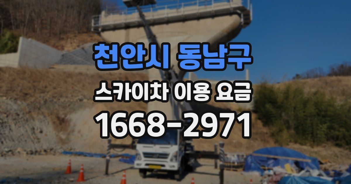 천안시 동남구 스카이차 이용 요금