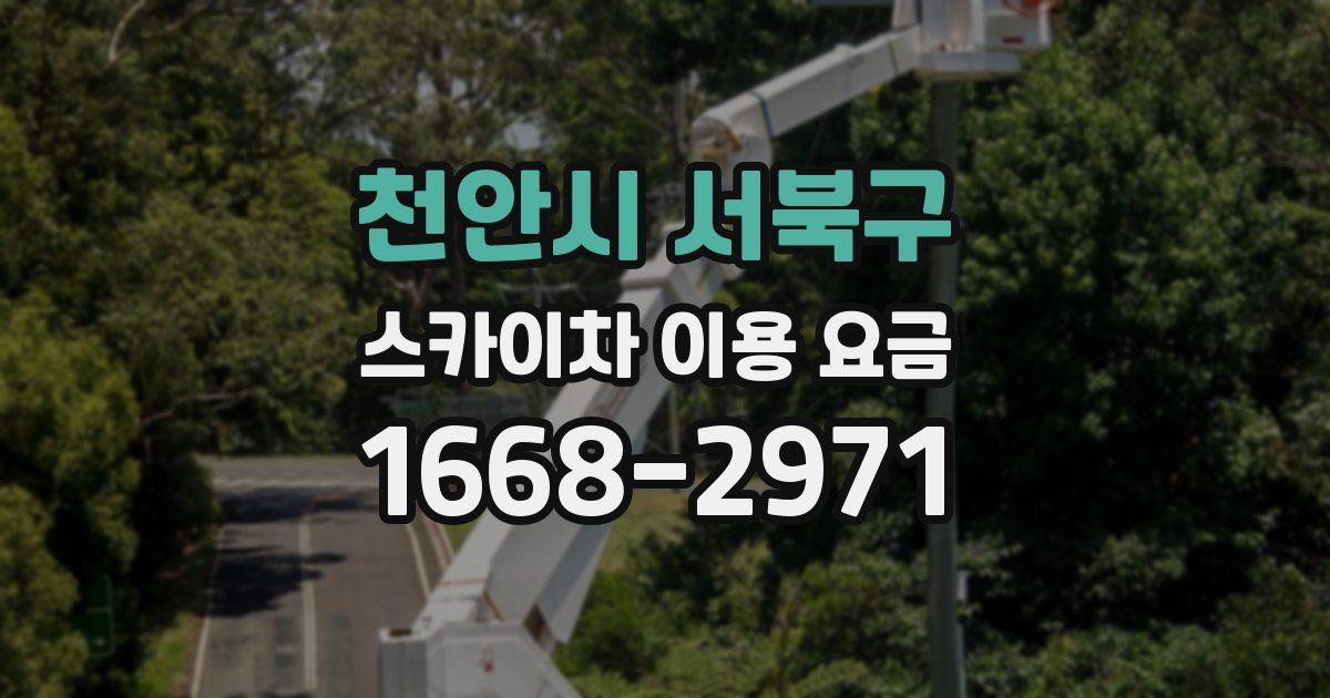 천안시 서북구 스카이차 이용 요금
