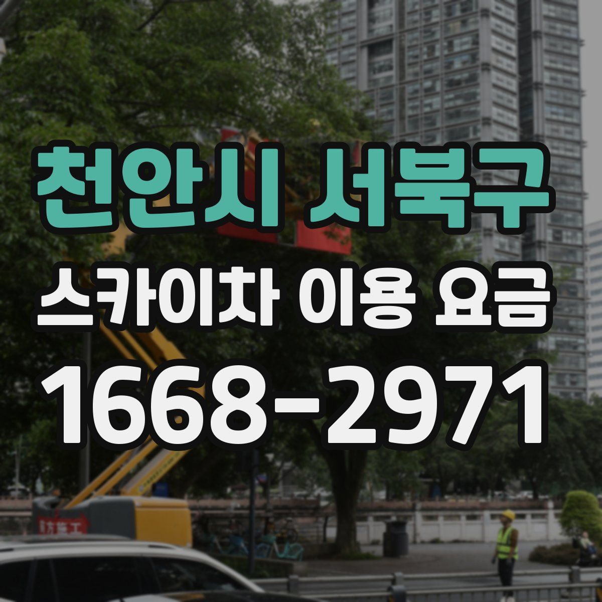 천안시 서북구 스카이차 이용 요금